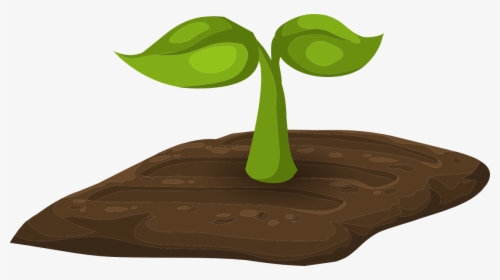 Sprouts Plants Tiny Free Picture - Soil Clipart Transparent, HD Png Download, Transparent PNG