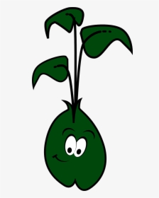 Cartoon Alfalfa Sprouts, HD Png Download, Transparent PNG