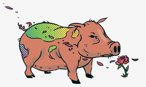 Jarrybriefs Vegan Pig - Domestic Pig, HD Png Download, Transparent PNG