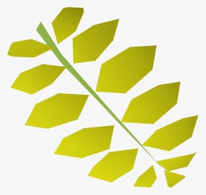 Curry Leaf - Curry Tree, HD Png Download, Transparent PNG