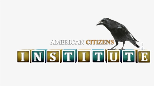 American Citizens Institute Logo - American Crow, HD Png Download, Transparent PNG
