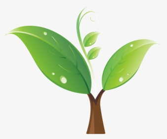 Planting Clipart Sprout - Tree Seedling Clipart, HD Png Download, Transparent PNG