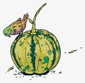 Jarrybriefs Vegan Pumpkin - Illustration, HD Png Download, Transparent PNG