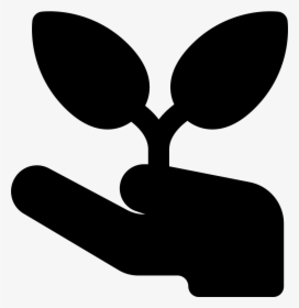 Hand And Sprout - Illustration, HD Png Download, Transparent PNG
