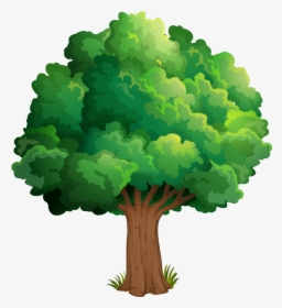 Nature Drawing Theatrical Scenery Clip Art - Elm Tree Clip Art, HD Png Download, Transparent PNG
