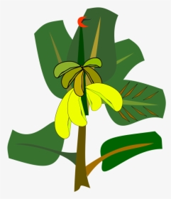 Plant,flora,leaf - Banana Tree Cartoon Transpatent, HD Png Download, Transparent PNG