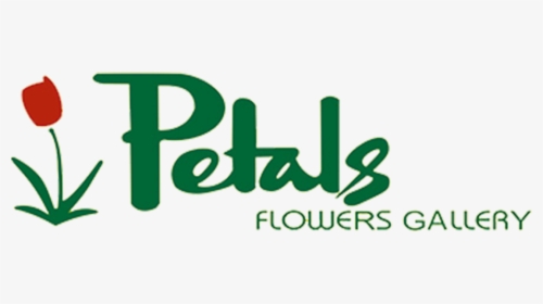 Petals Flowers Gallery - Graphics, HD Png Download, Transparent PNG