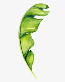 Hand Painted A Piece Of Banana Leaf Png Transparent - Banana Leaf Watercolor Png, Png Download, Transparent PNG