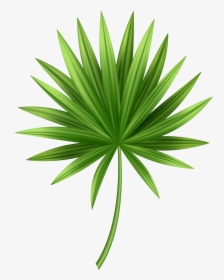 Tropical Leaves Png - Clip Art Tropical Leaves Png, Transparent Png, Transparent PNG