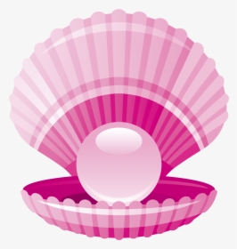 Seashell Pink Fresh Shell - Sea Shell Clipart Png, Transparent Png, Transparent PNG