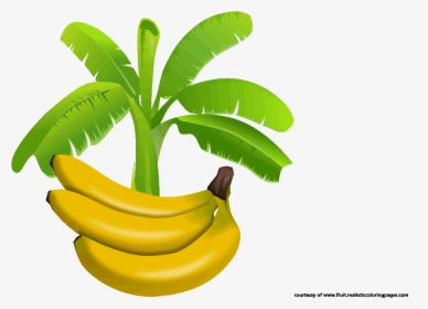 Leaves Vector Banana Tree - Banana Leaf Logo Png, Transparent Png, Transparent PNG