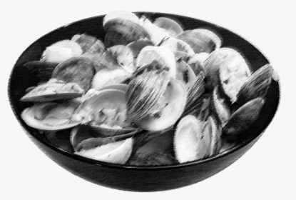 Monochrome, HD Png Download, Transparent PNG