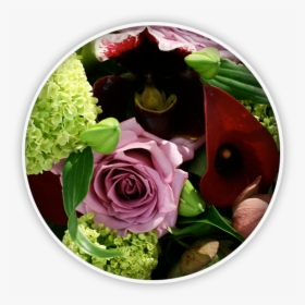 Bouquets & Flowers - Floribunda, HD Png Download, Transparent PNG