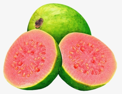 Watermelon Juice Common Guava Fruit - Guava Png, Transparent Png, Transparent PNG