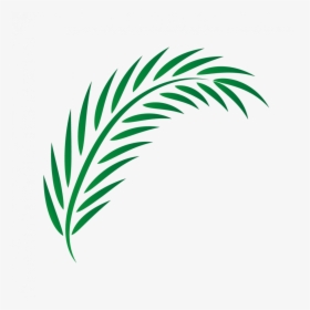 Leaf Palm Drawing Vector, HD Png Download, Transparent PNG