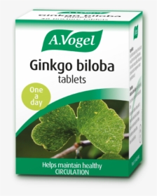 A Vogel Ginkgo Biloba 30 Tabs - Echinaforce Tablets, HD Png Download, Transparent PNG