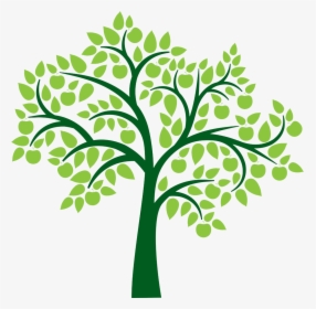Tree Clip Art - Printable Tree For Family Tree, HD Png Download, Transparent PNG