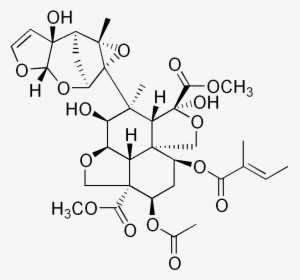 Azadirachtin - Azadirachta Indica Chemical Structure, HD Png Download, Transparent PNG