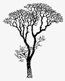 Baby Nursery ~ Fascinating Simple Black And White Tree - Long Tree Clipart Black And White, HD Png Download, Transparent PNG