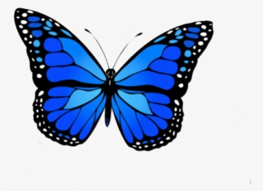 Butterfly Design, HD Png Download, Transparent PNG