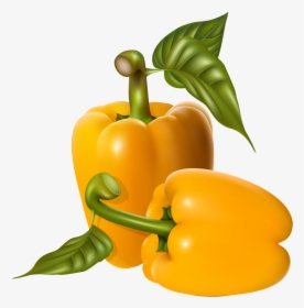 Peppers - Fresh Vegetable Vector Png, Transparent Png, Transparent PNG