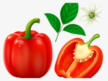 Pepper Clipart Different Kind Fruit - Green Bell Pepper Clipart, HD Png Download, Transparent PNG
