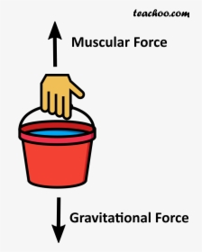 Muscular And Gravitational Force On A Bucket - Gravitational Force For Class 8, HD Png Download, Transparent PNG