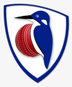 Cricket Clipart Cricket Coach - Emblem, HD Png Download, Transparent PNG