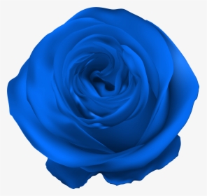 Blue Rose Png Clip Artu200b Gallery Yopriceville - Transparent Purple Rose Png, Png Download, Transparent PNG