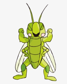 Cartoon Images Gallery For - Insect Cartoon Cricket, HD Png Download, Transparent PNG