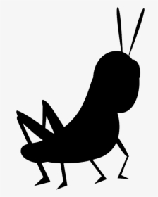 Cricket Insect Png - Cartoon Cricket Insect, Transparent Png, Transparent PNG