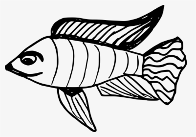 Fish Drawing, HD Png Download, Transparent PNG