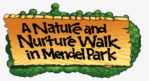 A Nature Nurture Walk In Mendel Park, HD Png Download, Transparent PNG