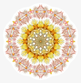 Flower,symmetry,floral Design - National University Logo Png, Transparent Png, Transparent PNG