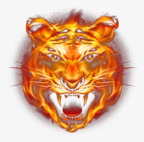Tiger Fire Fierce Png Download Free Clipart - Tiger Face Png Hd, Transparent Png, Transparent PNG