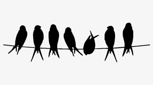 Bird Stencil Silhouette Owl Common Kingfisher - Silhouette Oiseau Sur Fil, HD Png Download, Transparent PNG