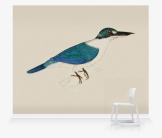 White Collared Kingfisher Sketch, HD Png Download, Transparent PNG