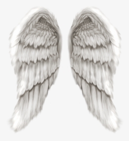 Thumb Image - Realistic Angel Wings Png, Transparent Png, Transparent PNG