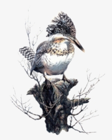 #bird #kingfisher #freetoedit - Birds In Art, HD Png Download, Transparent PNG