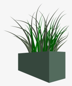 Pot, Grass, Plant, Weeds - Planter Boxes Transparent Background, HD Png Download, Transparent PNG