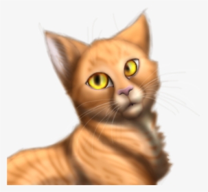 Asian , Png Download - Domestic Short-haired Cat, Transparent Png, Transparent PNG