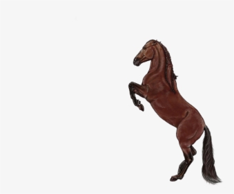 Horse, Brown, Animal, Standing, Mammal - Stallion, HD Png Download, Transparent PNG