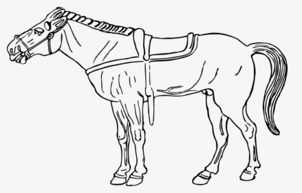 Transparent Pony Ride Clipart - Imágenes De Caballos Dibujados, HD Png Download, Transparent PNG