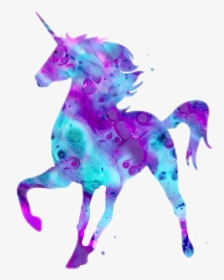 #kuda Poni - Unicorns And Mermaids, HD Png Download, Transparent PNG