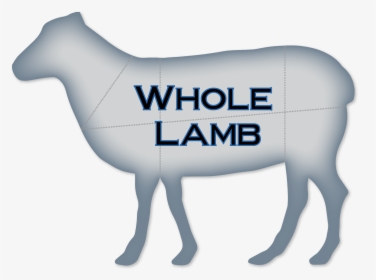Whole-lamb - Varning För, HD Png Download, Transparent PNG