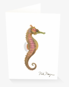 Estuary Seahorse - Northern Seahorse, HD Png Download, Transparent PNG