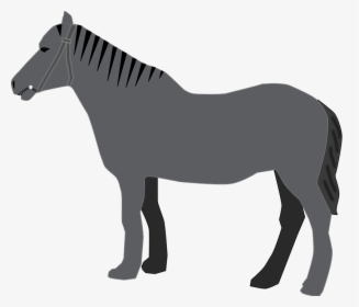 Arabian Horse Standing Silhouette, HD Png Download, Transparent PNG