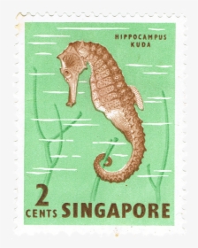 Singapore Fish - Singapore Stamps Marine Life, HD Png Download, Transparent PNG