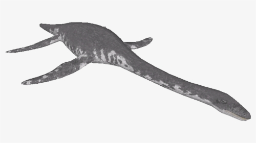 Loch Ness Monster Png - Marine Invertebrates, Transparent Png, Transparent PNG