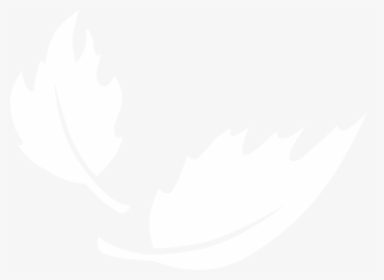 Ness Walk Leaf Logo - Illustration, HD Png Download, Transparent PNG
